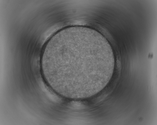 X0000112350534200909241104