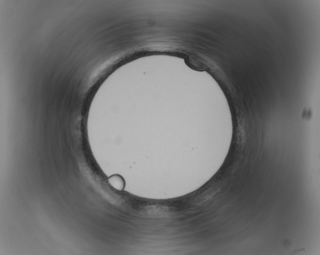 X0000112350535200909241104