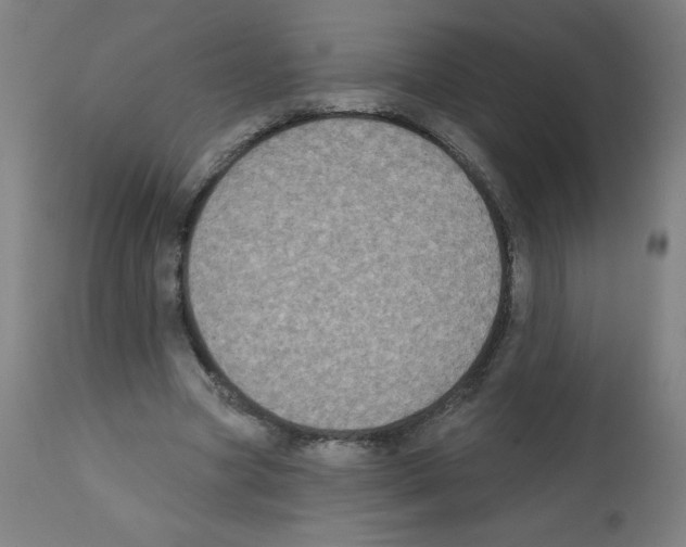 X0000112350537200909241104