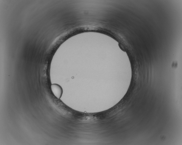 X0000112350543200909241104