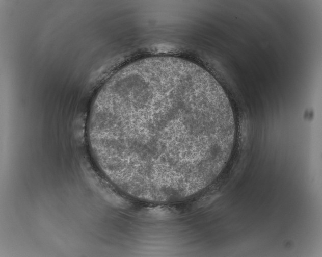 X0000112350545200909241104