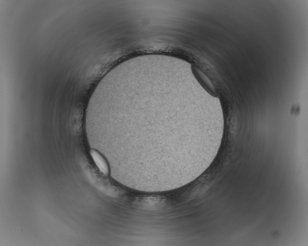 X0000112350546200909241104