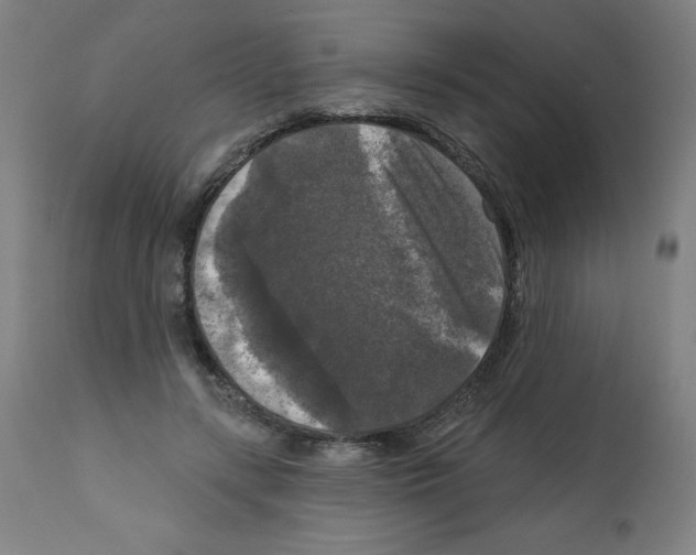 X0000112350547200909241104