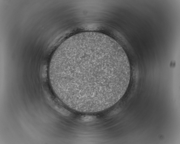 X0000112350549200909241104