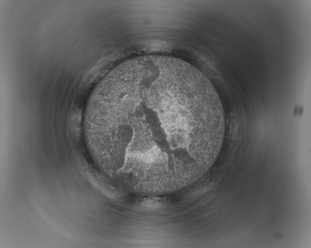 X0000112350550200909241104