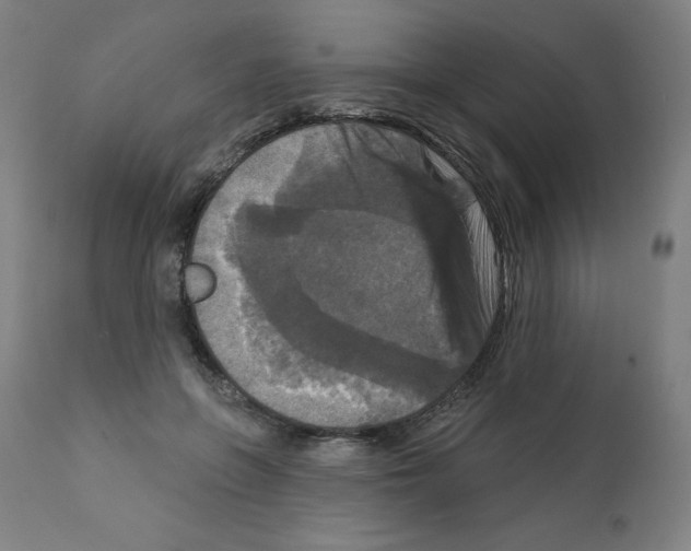 X0000112350551200909241104