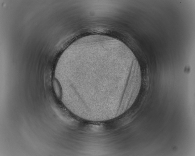 X0000112350552200909241104