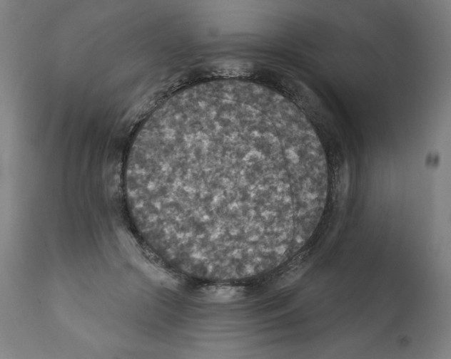 X0000112350553200909241104