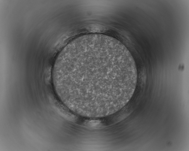 X0000112350554200909241104