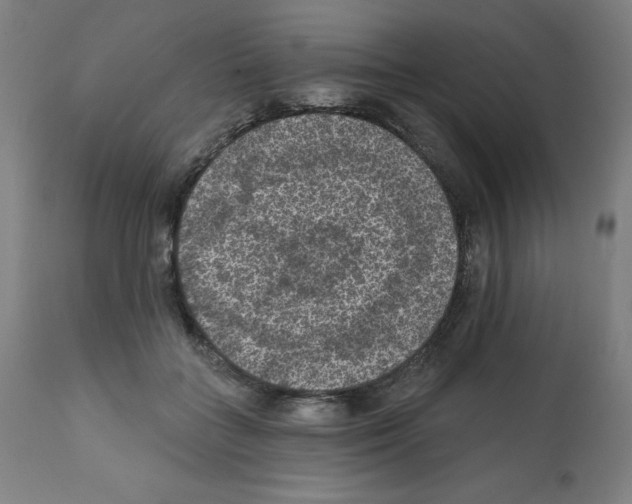 X0000112350555200909241104