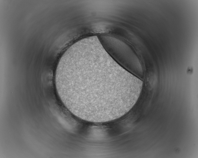 X0000112350556200909241105