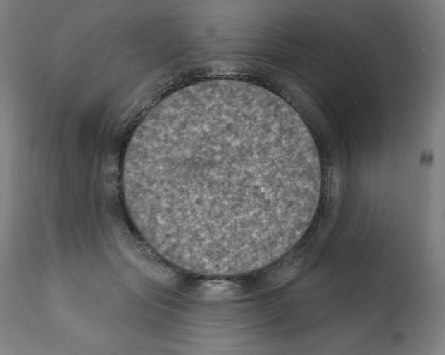 X0000112350557200909241105