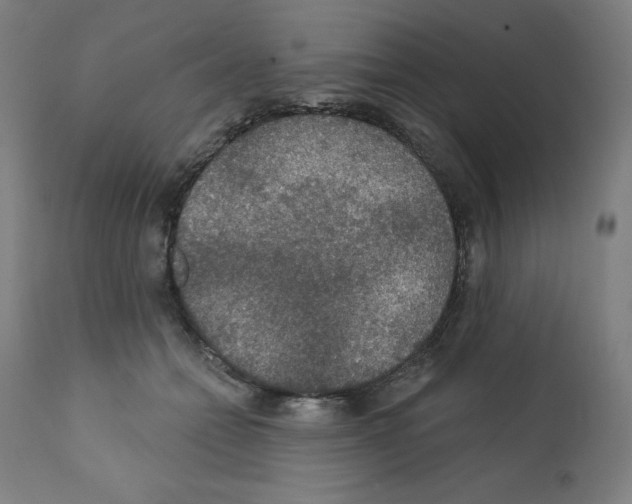 X0000112350558200909241105