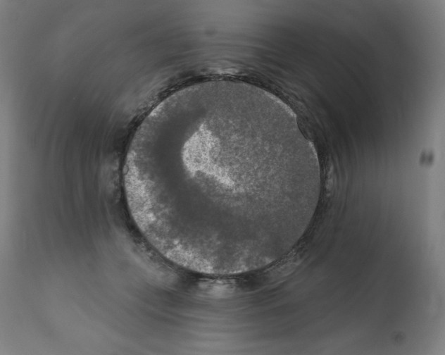 X0000112350559200909241105