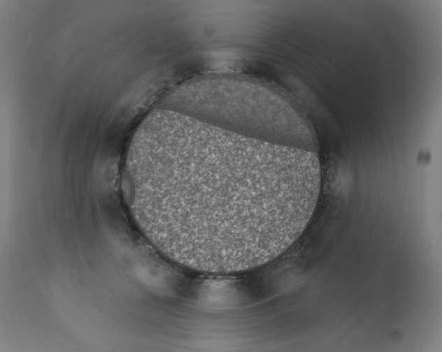 X0000112350560200909241105