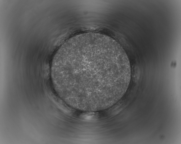 X0000112350563200909241105