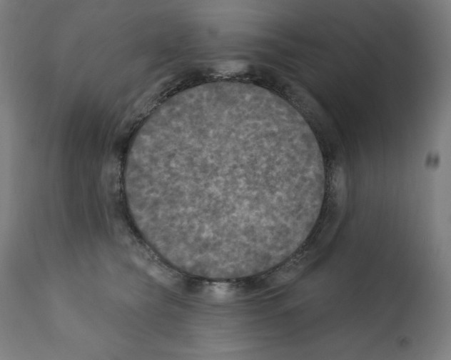 X0000112350565200909241105