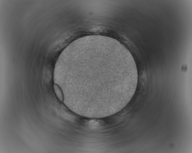 X0000112350566200909241105