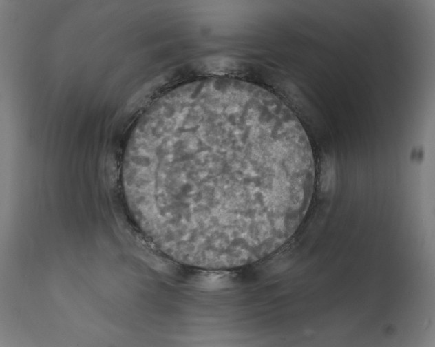 X0000112350569200909241105