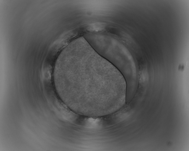 X0000112350570200909241105