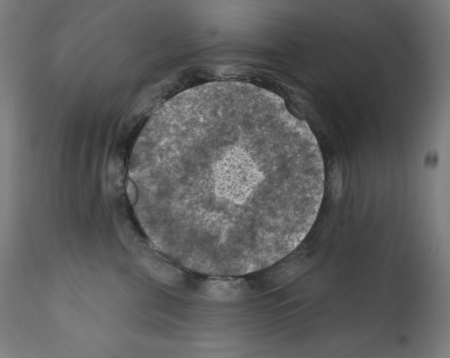 X0000112350571200909241105