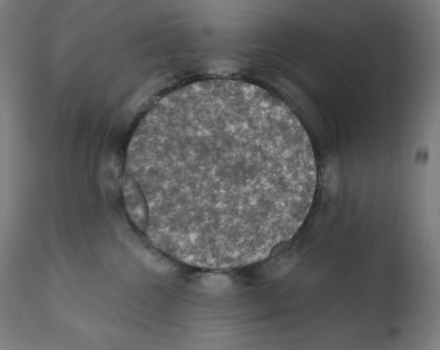 X0000112350572200909241105