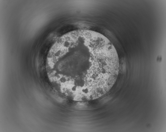 X0000112350573200909241105