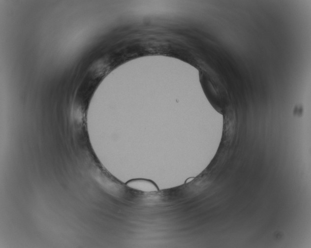 X0000112350574200909241105