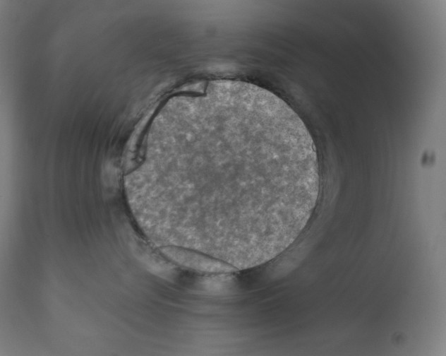 X0000112350576200909241105