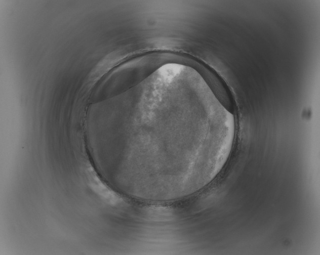 X0000112350577200909241104