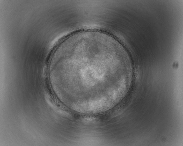 X0000112350583200909241104