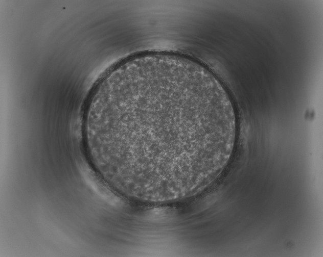 X0000112350584200909241104