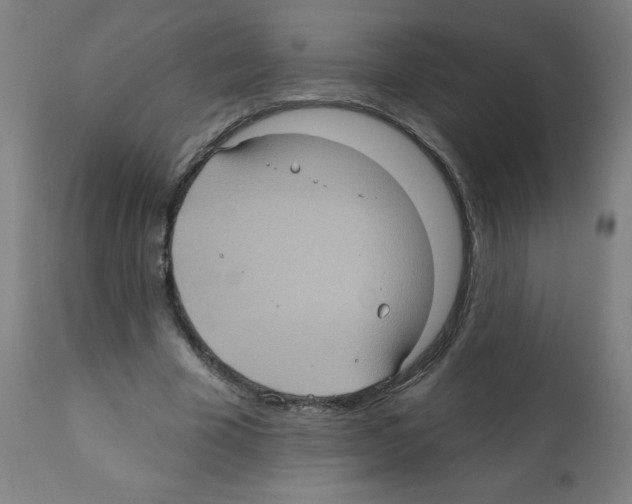 X0000112350585200909241104