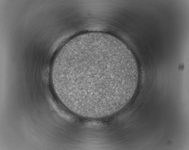 X0000112350586200909241104