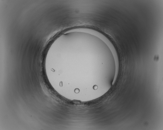 X0000112350587200909241104