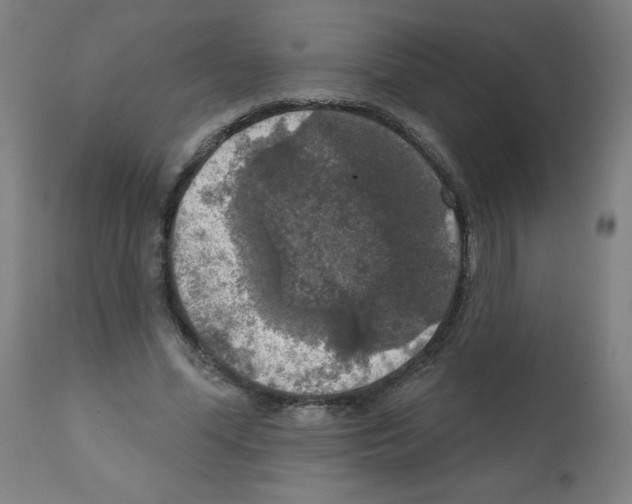 X0000112350588200909241104