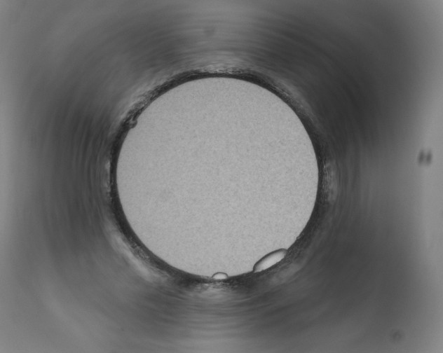 X0000112350589200909241104