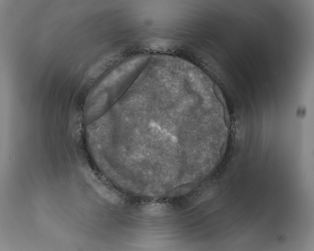 X0000112350593200909241104