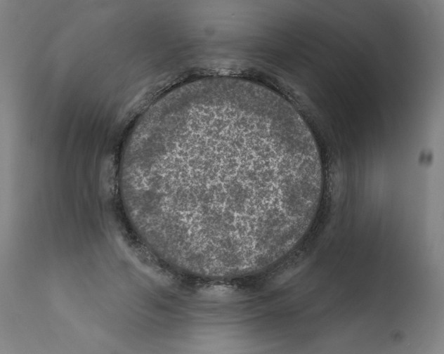 X0000112350594200909241104