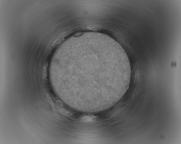 X0000112350595200909241104