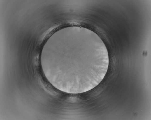 X0000112350596200909241104