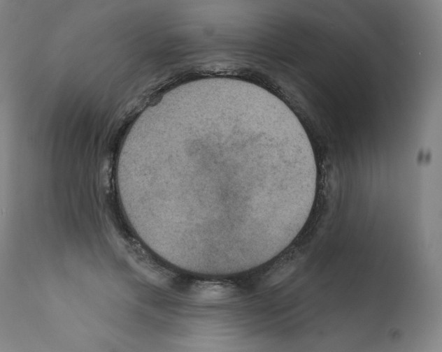 X0000112350597200909241104