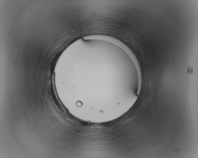 X0000112350599200909241104