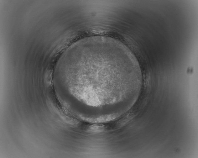 X0000112350606200909241104