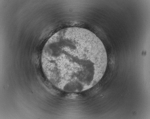 X0000112350607200909241104