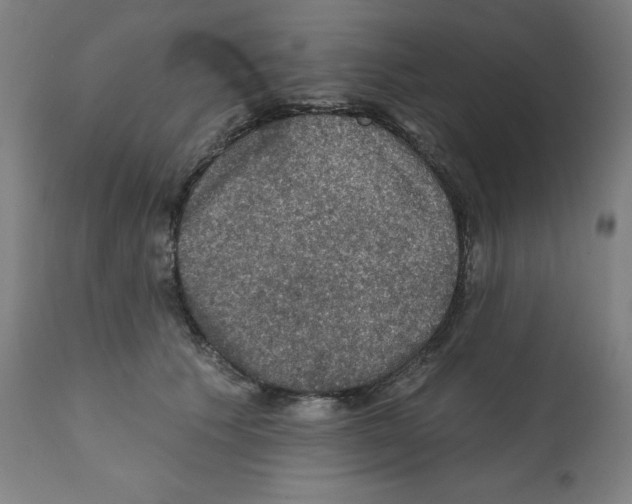 X0000112350609200909241104