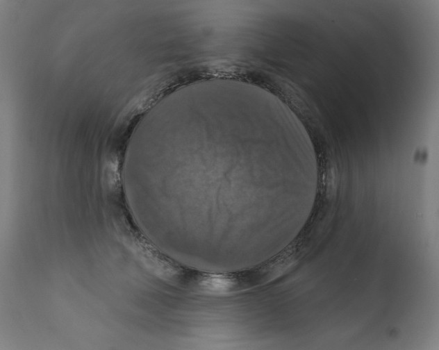 X0000112350610200909241104