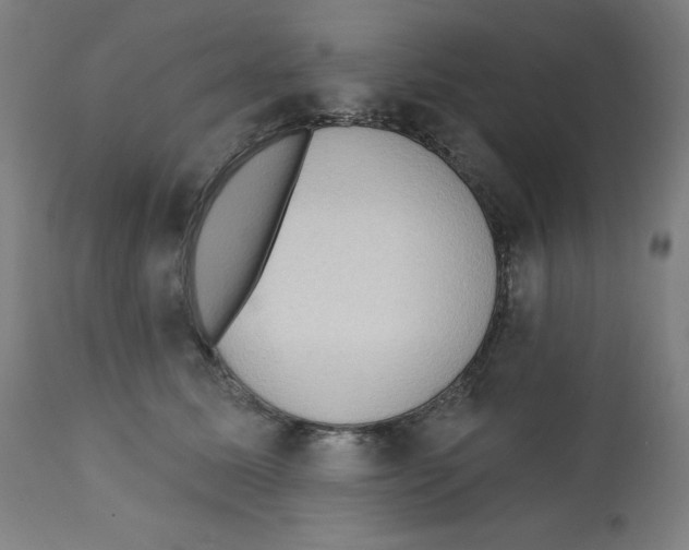 X0000112350611200909241104