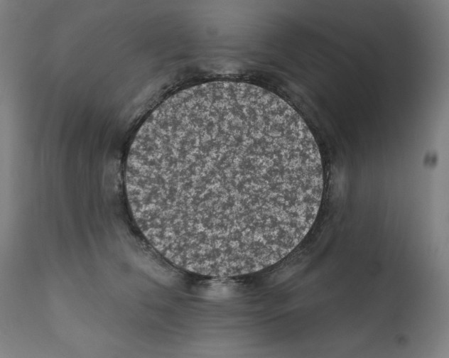 X0000112350612200909241104