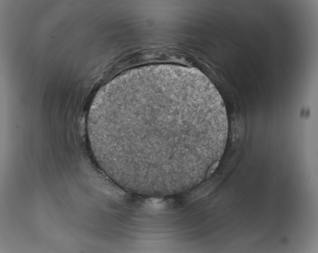 X0000112350613200909241103